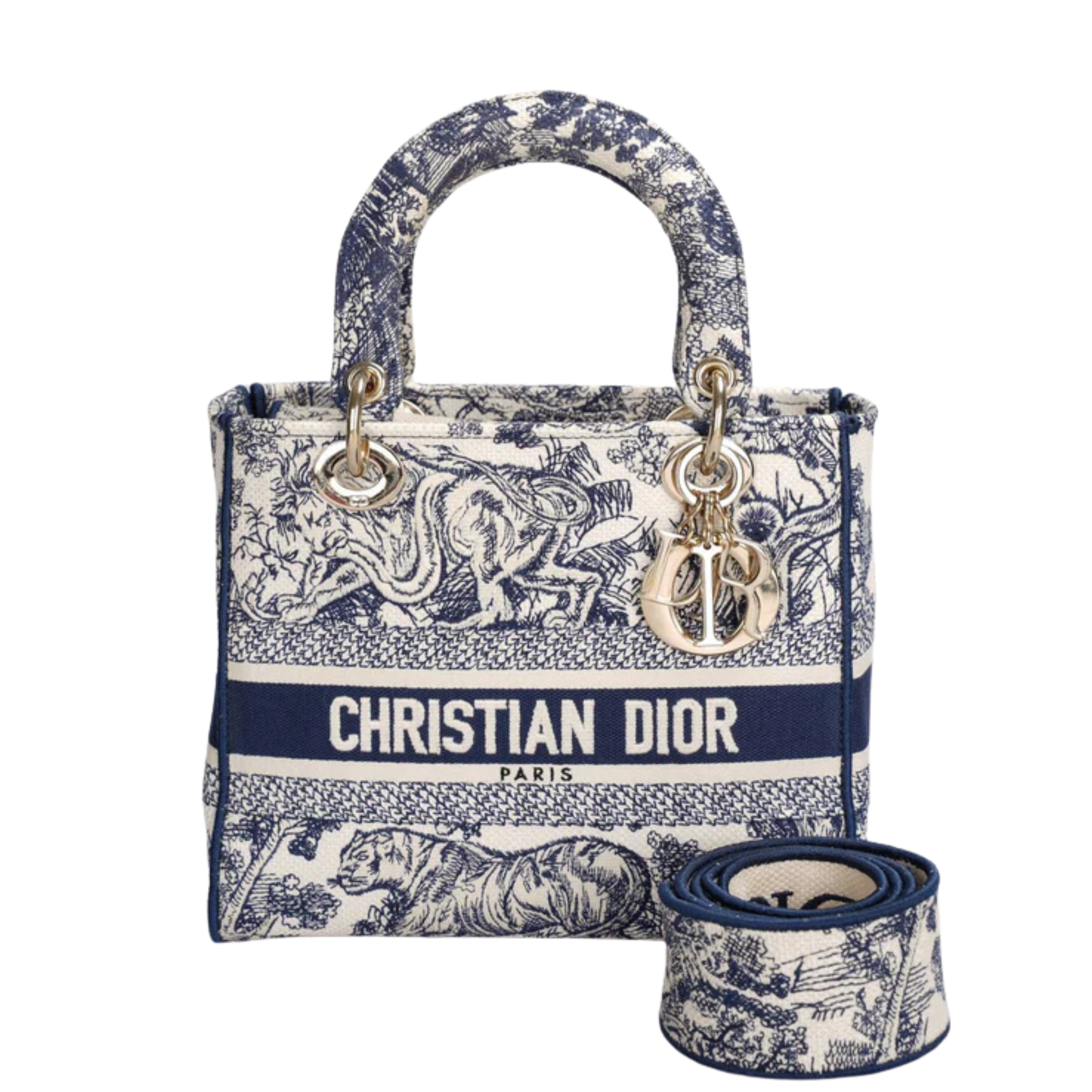 Dior Bag | Medium Lady D-Lite