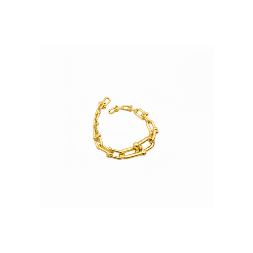 Tiffany & Co. Jewelry | Chunky Link Necklace