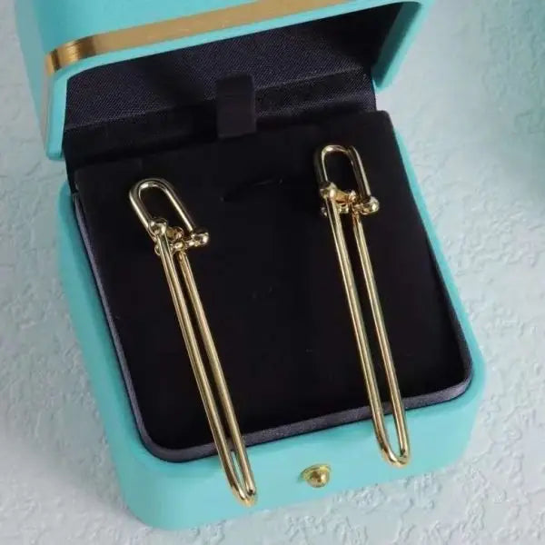 Tiffany & Co. Jewelry | HardWear Double Long Link Earrings