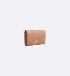 Dior Bag | Caro Glycine Wallet
