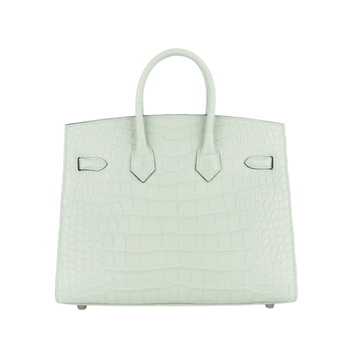 Hermès Bag | Birkin 25 Matte Alligator