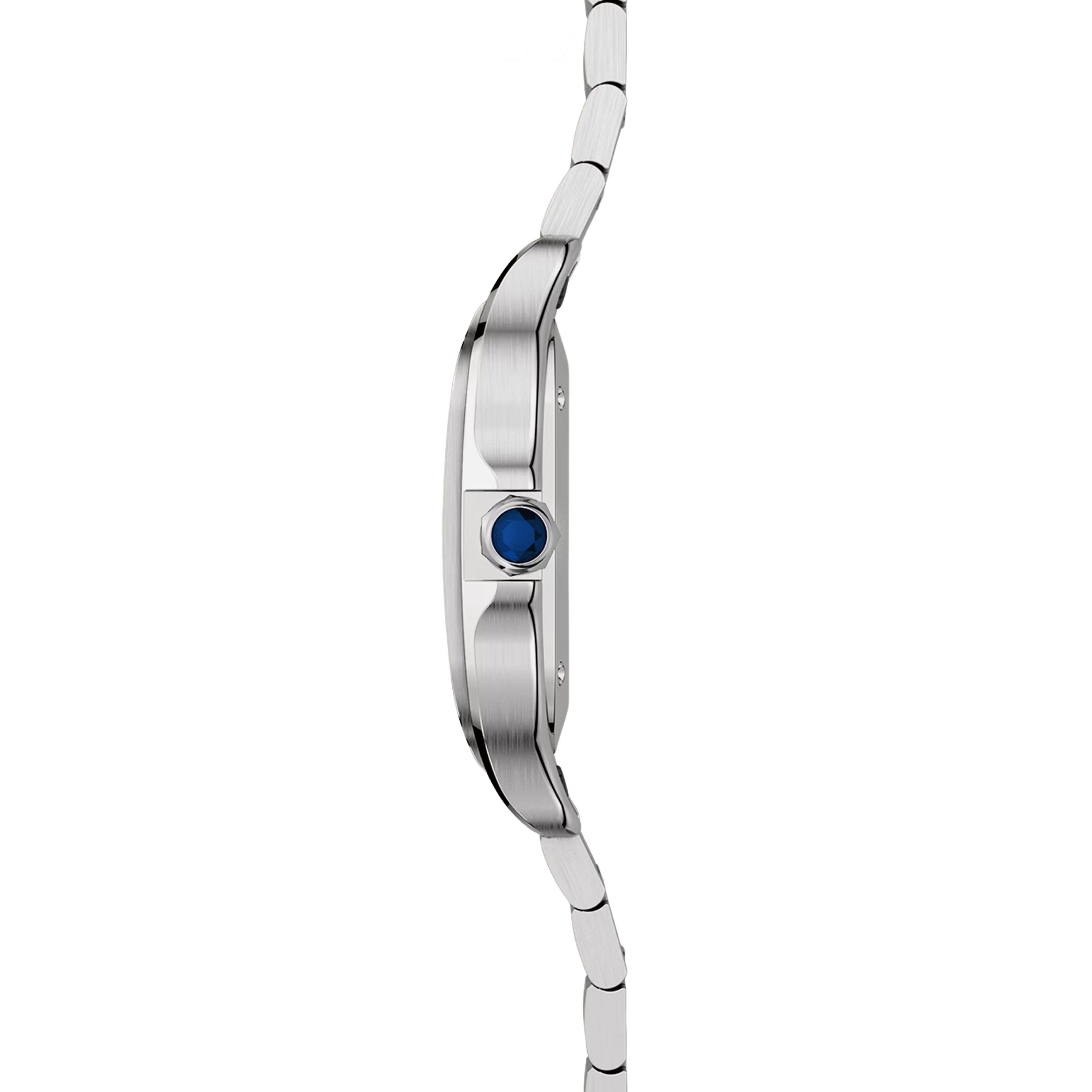 Cartier Watch | Santos De Cartier Stainless Steel Silvered