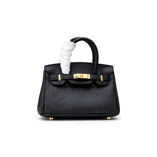 Hermès Bag | Birkin 20 Togo Leather