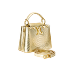 Louis Vuitton Bag | Ćapucines Taurillon Silver