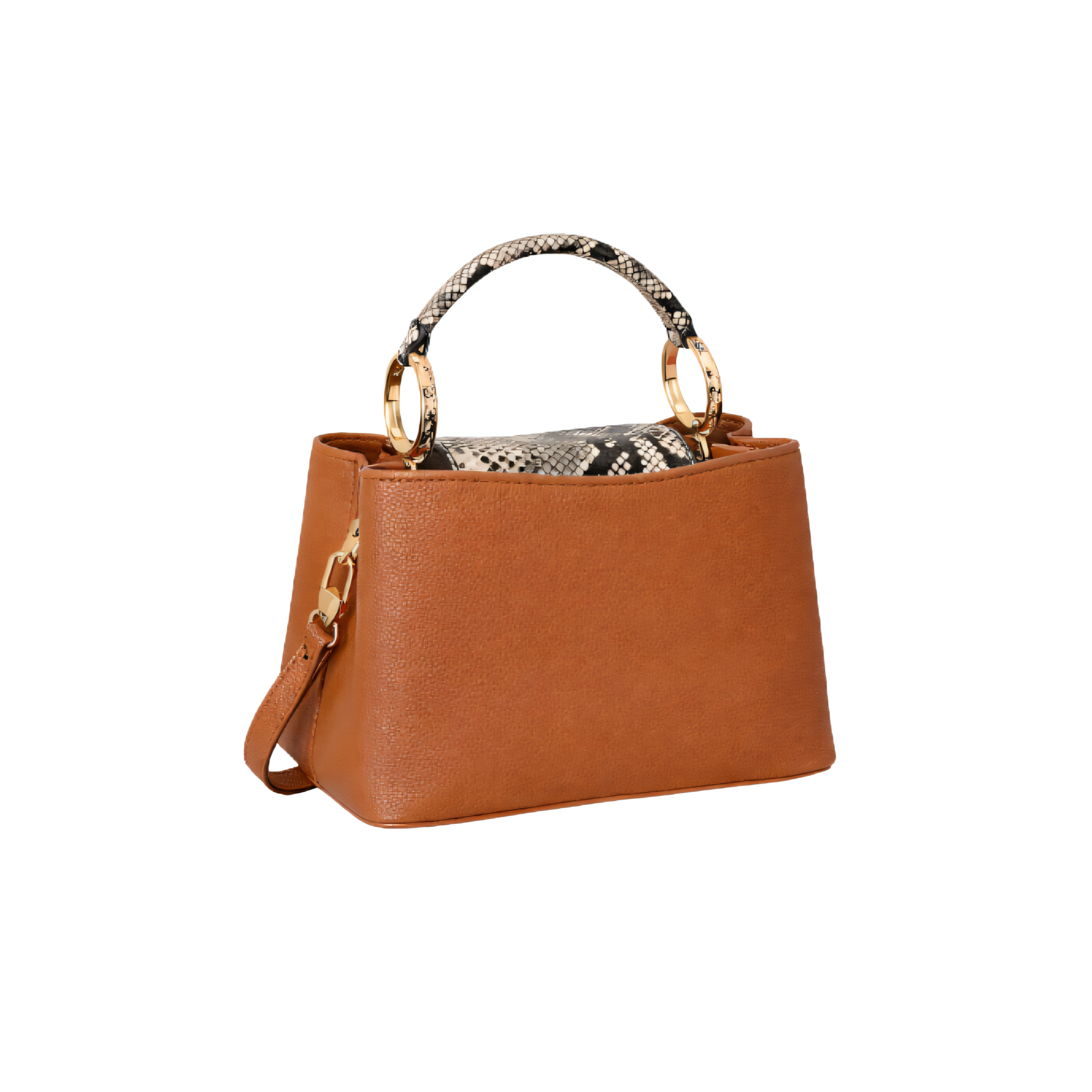 Louis Vuitton Bag | Ćapucines Brown Python