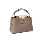 Louis Vuitton Bag | Ćapucines Steeple Grey Python