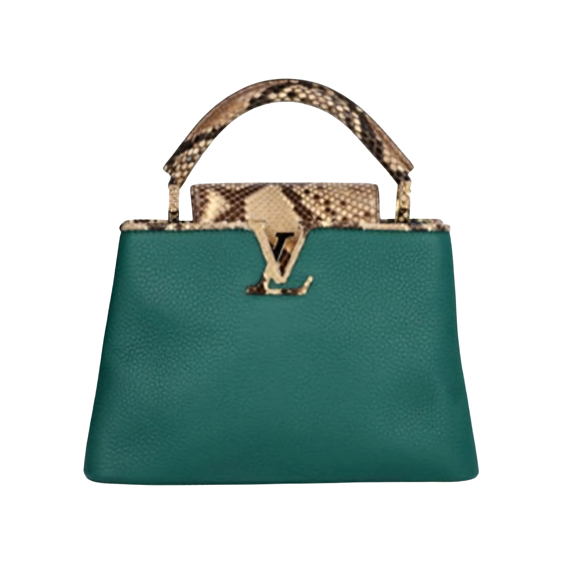 Louis Vuitton Bag | Ćapucines Green Python