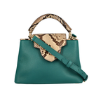 Louis Vuitton Bag | Ćapucines Green Python