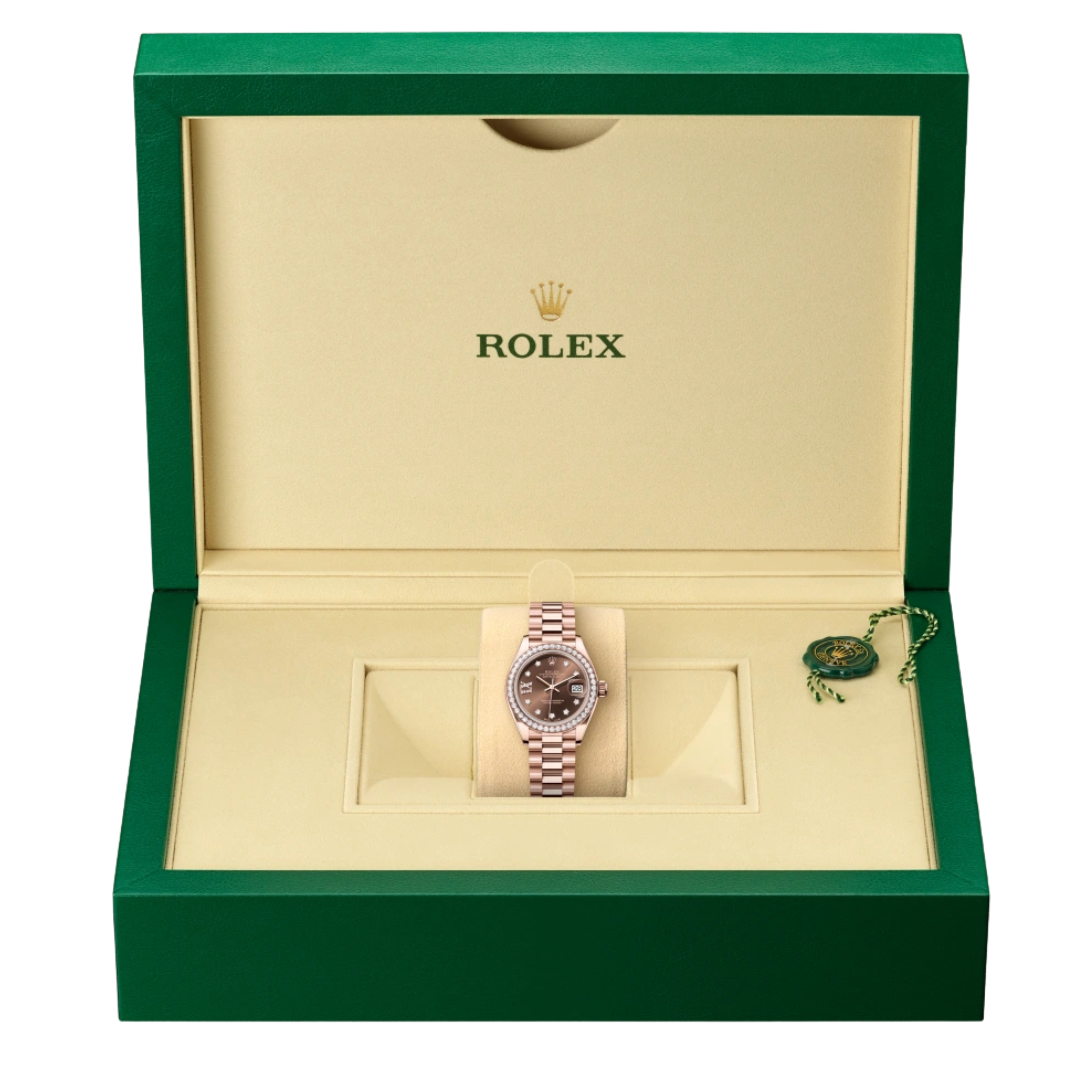 Rolex Watch | Datejust Chocolate Dial