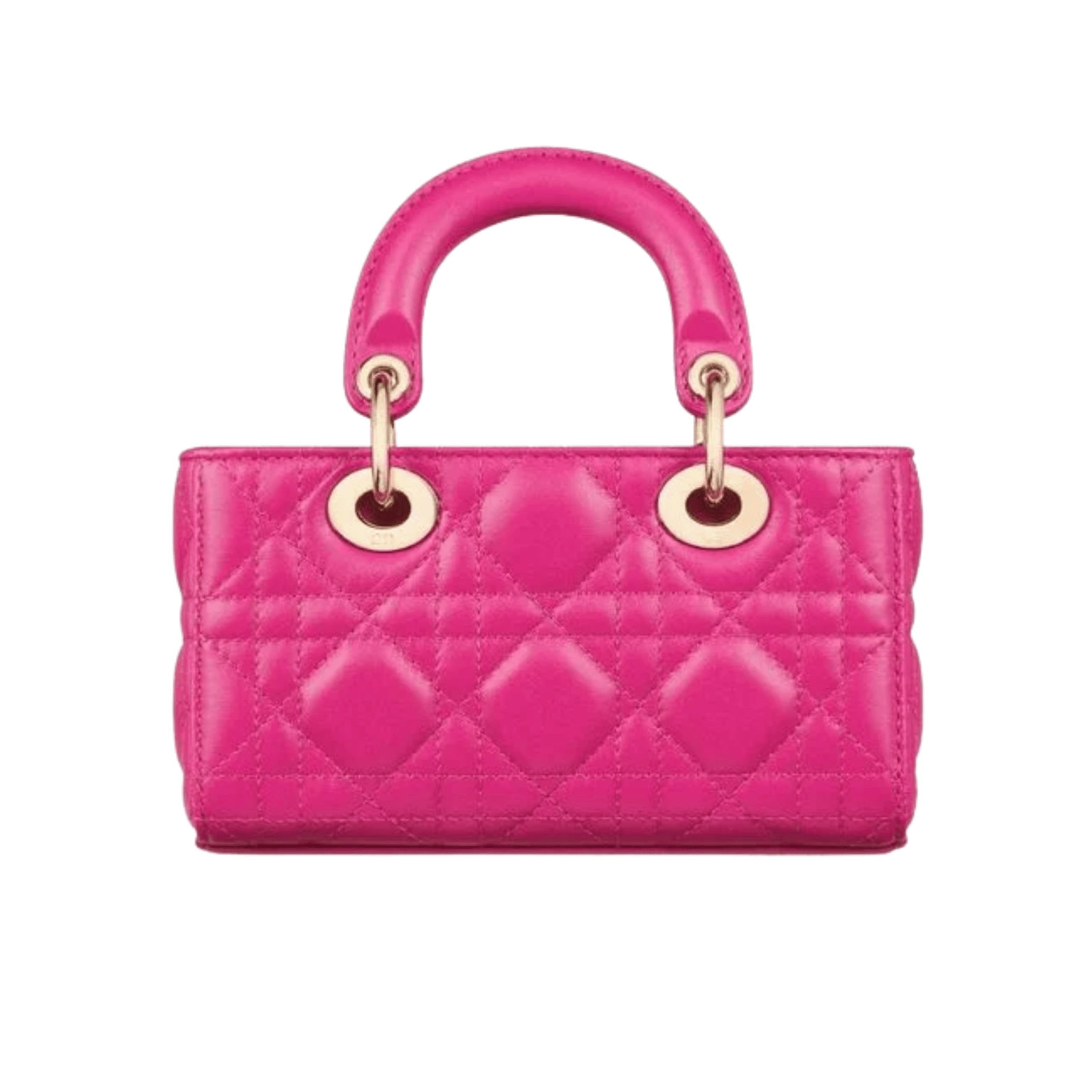 Dior Bag | Lady D-joy