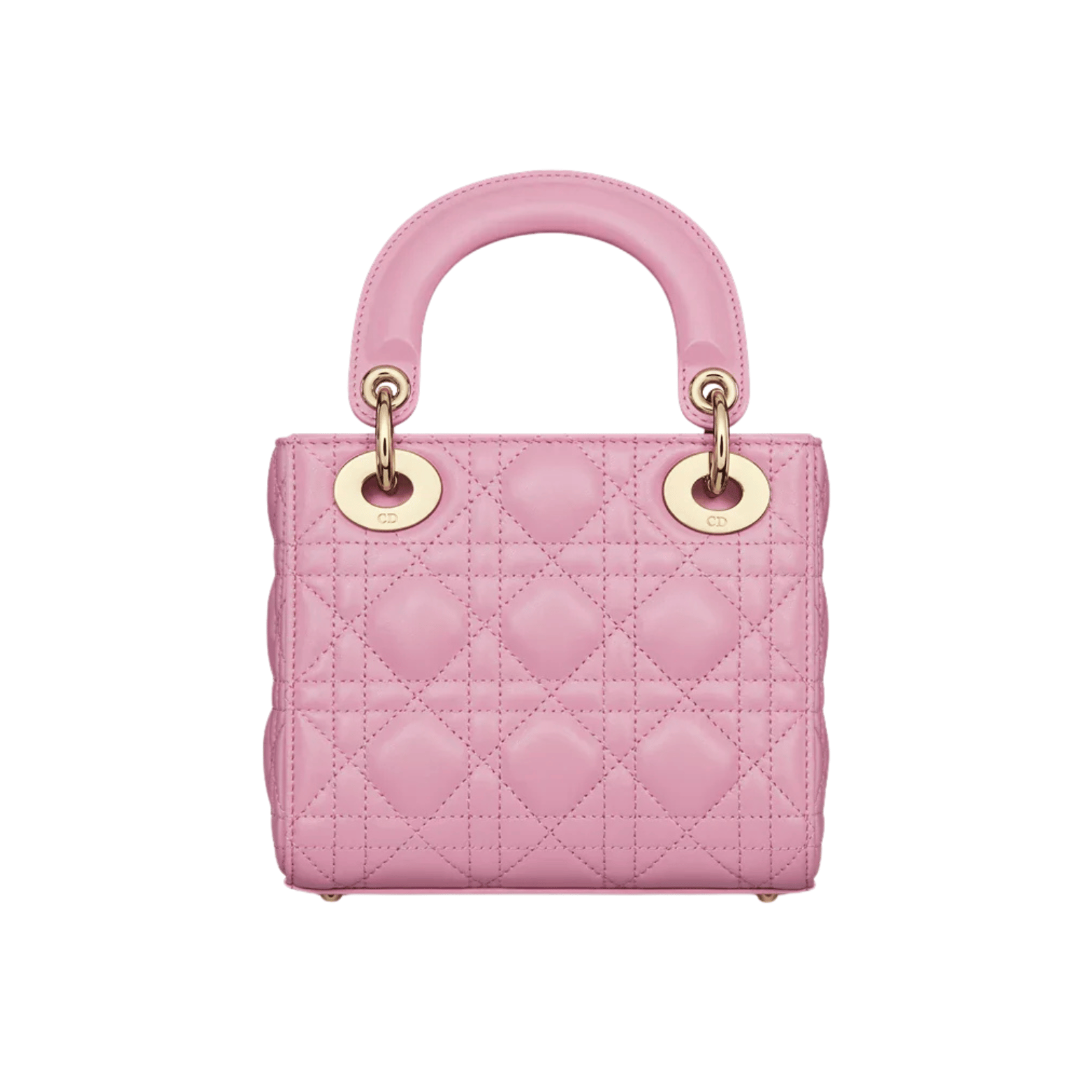 Dior Bag | Mini Dioriviera Lady