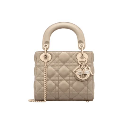 Dior Bag | Mini Lady