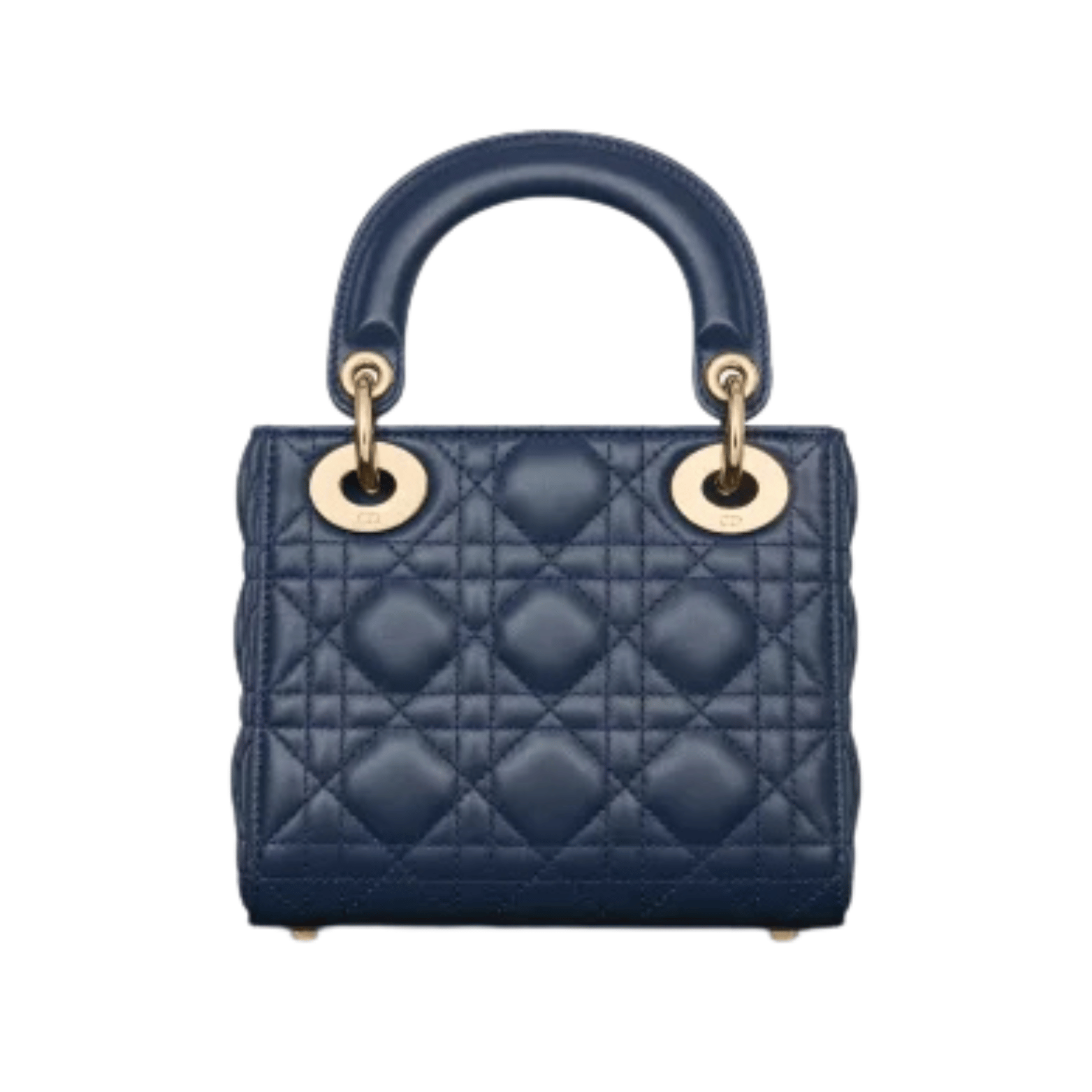 Dior Bag | Mini Dioriviera Lady