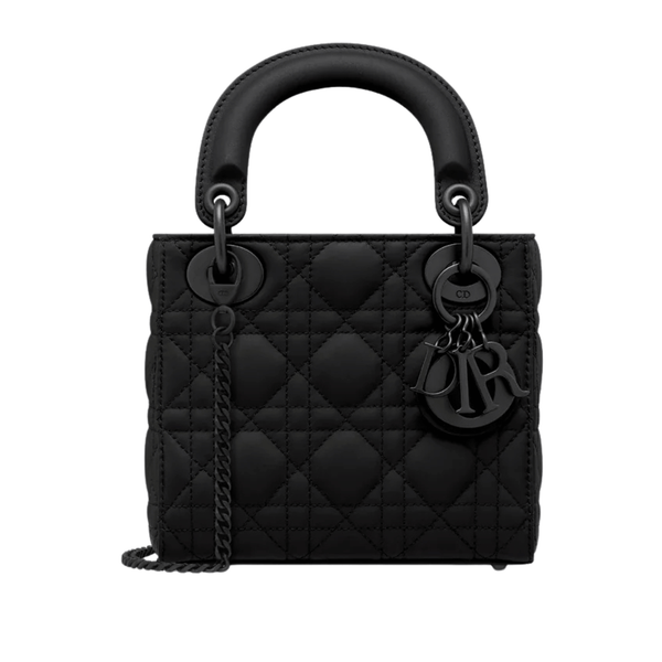 Dior Bag | Mini Lady