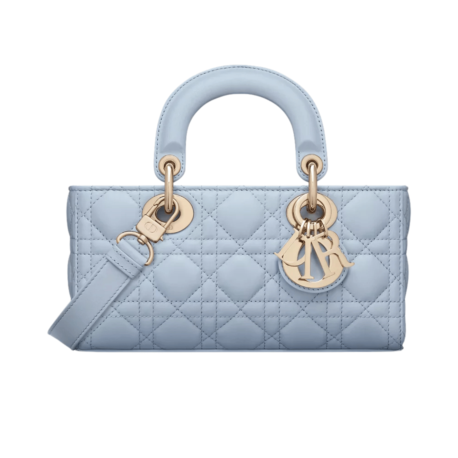 Dior Bag | Lady D-joy