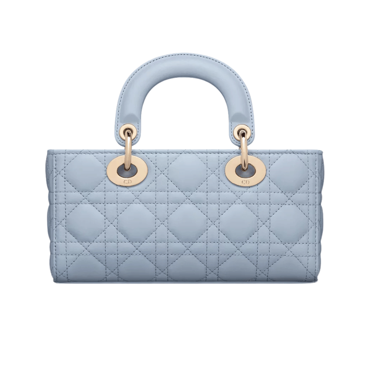 Dior Bag | Lady D-joy