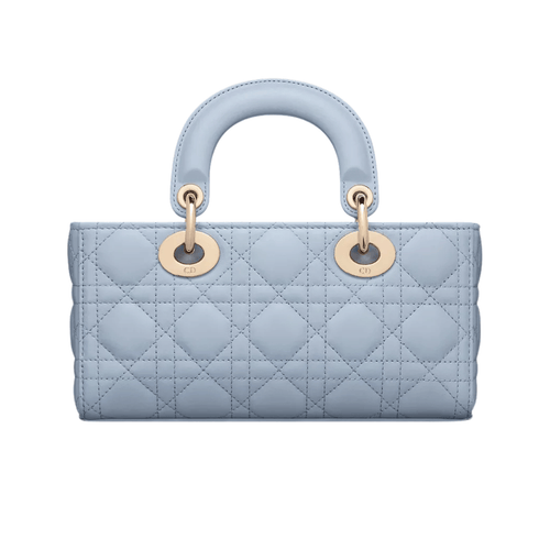 Dior Bag | Lady D-joy