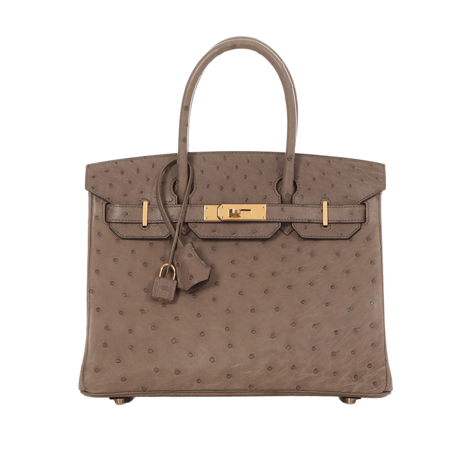 Hermès Bag | Birkin