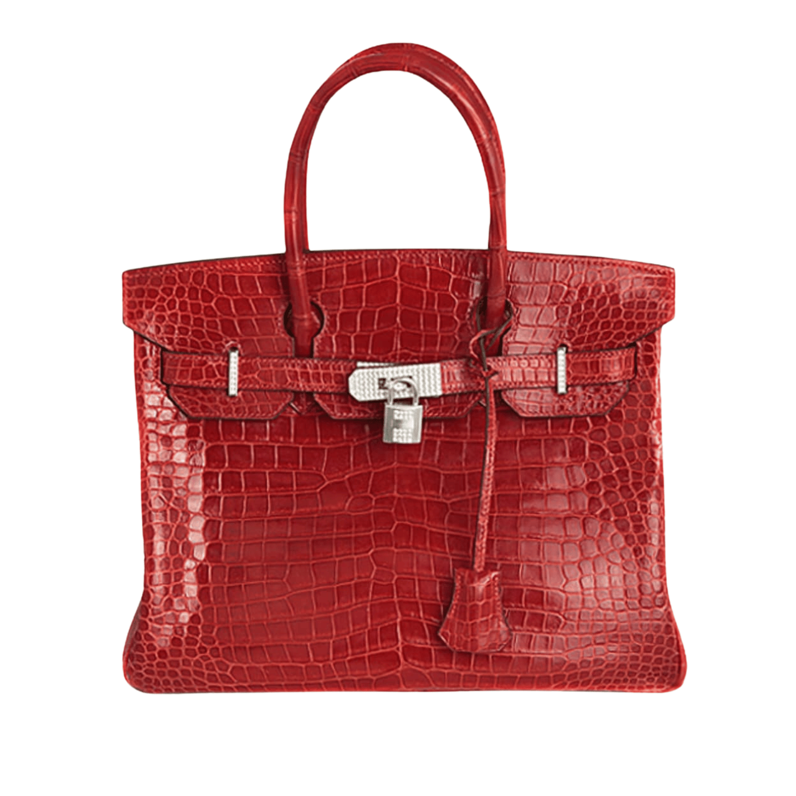 Hermès Bag | Birkin Bag Crocodile Skin Red