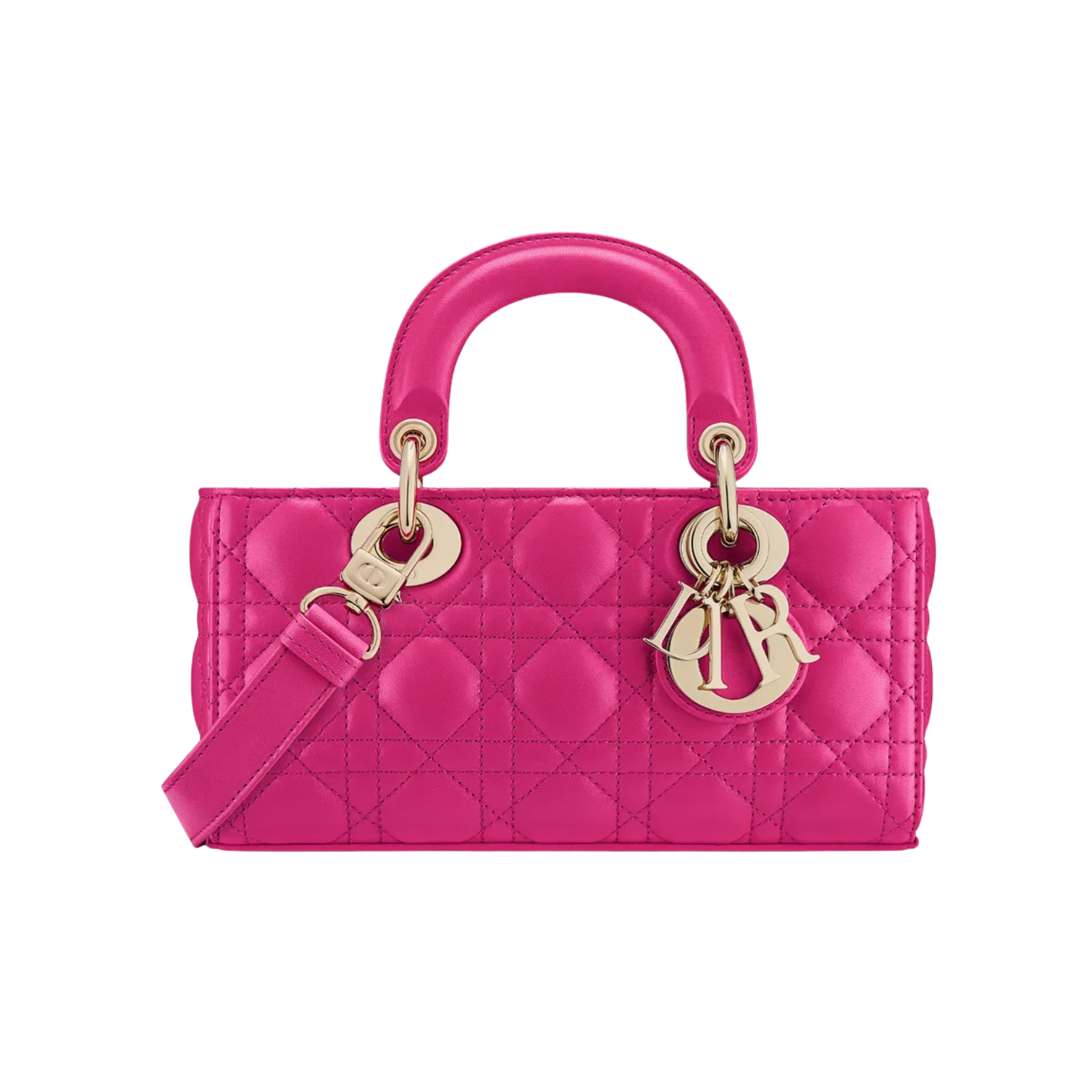 Dior Bag | Lady D-joy
