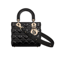 Dior Bag | Small Lady My Abcdior