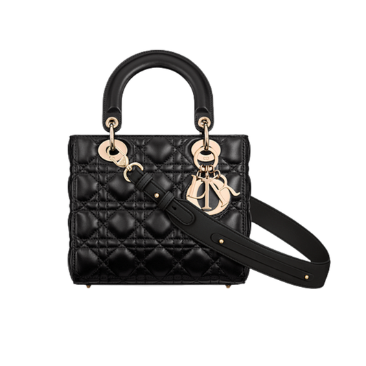Dior Bag | Small Lady My Abcdior