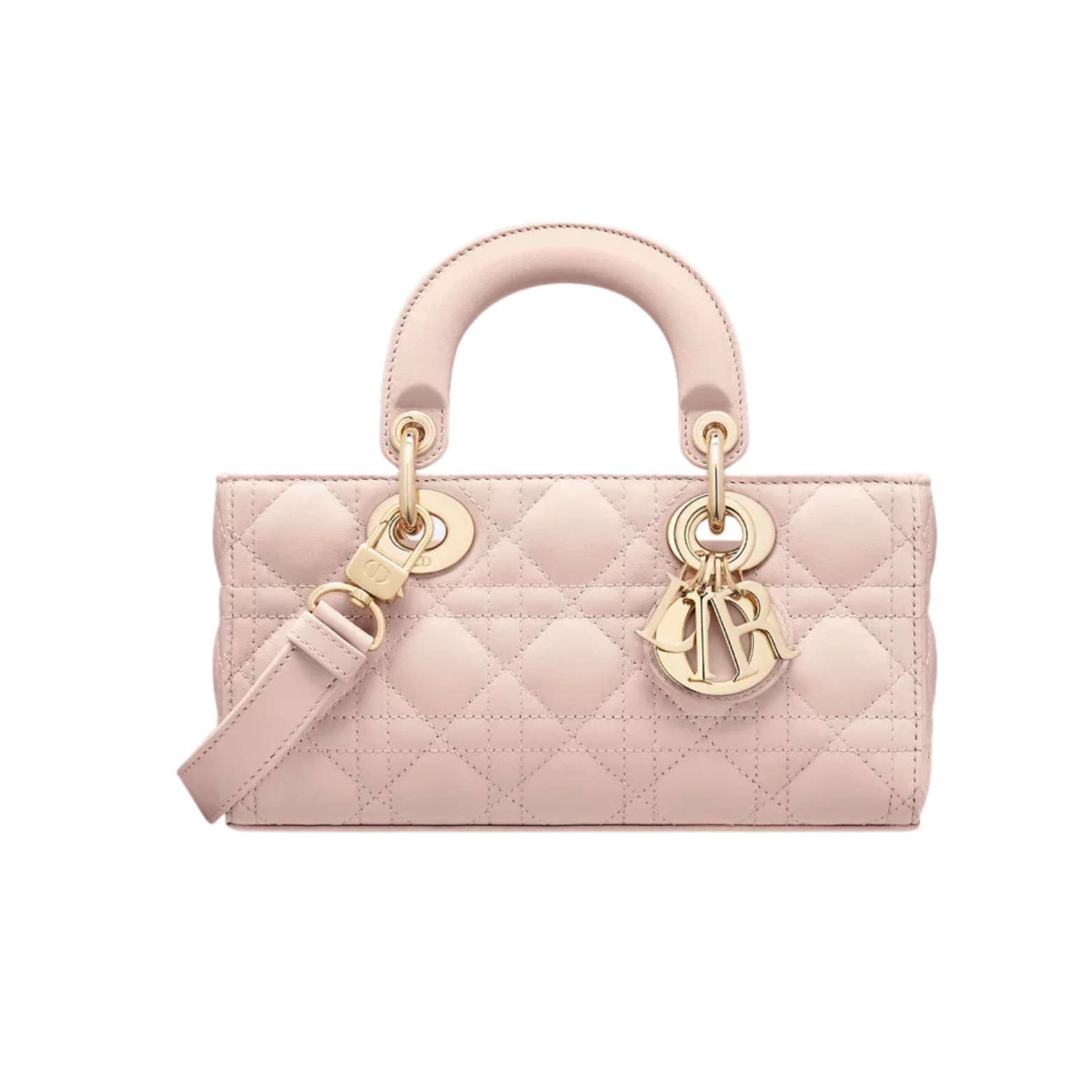 Dior Bag | Lady D-joy