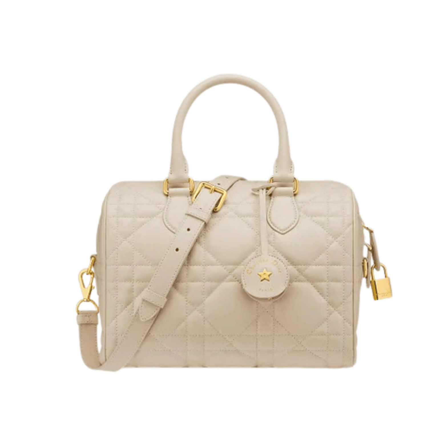 Dior Bag | Groove 25