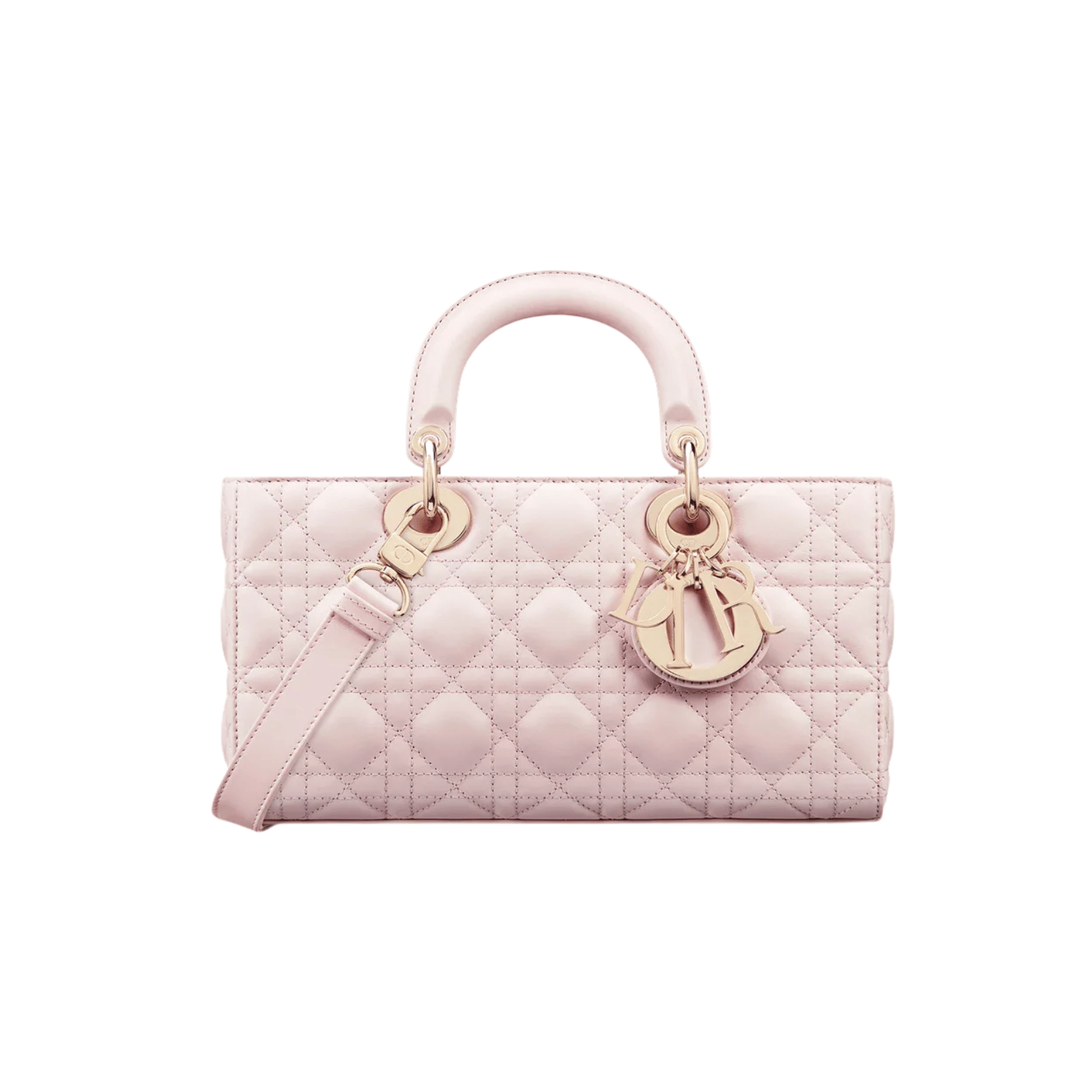 Dior Bag | Lady D-joy