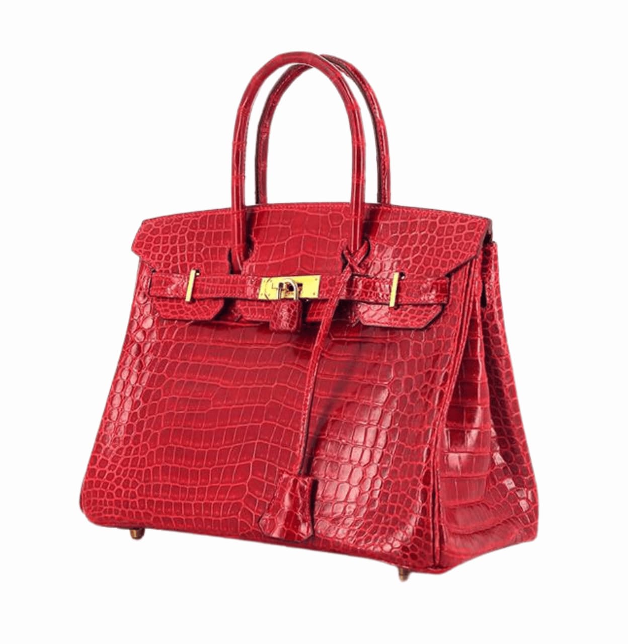 Hermès Bag | Birkin Bag Crocodile Skin Red
