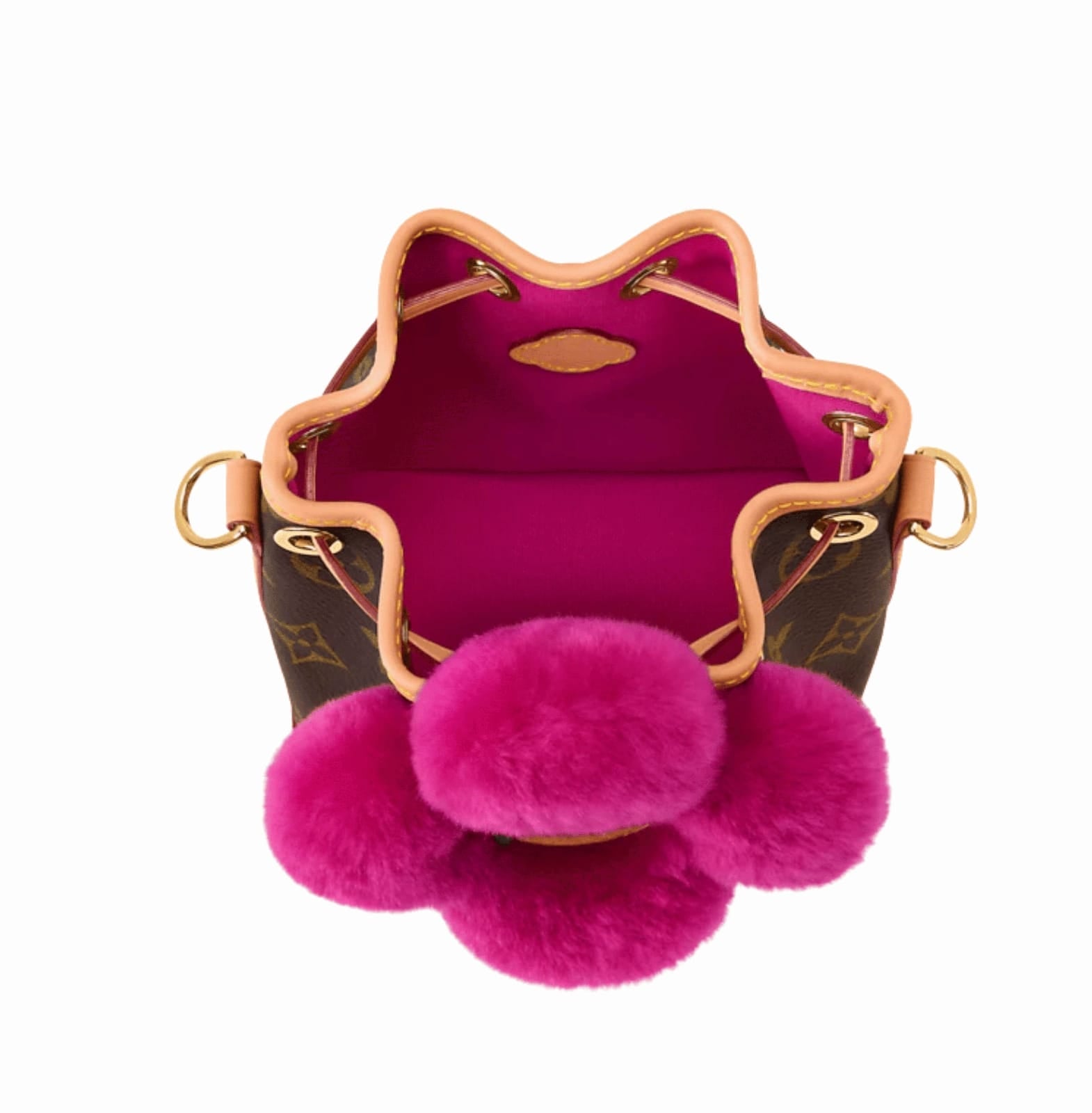 Louis Vuitton Bag | Noé-where Vivienne Monogram Bag