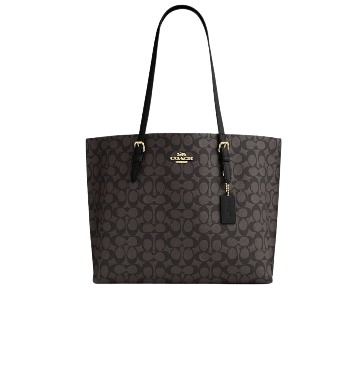 Coach Bag | Mollie Tote Bag Signature Canvas