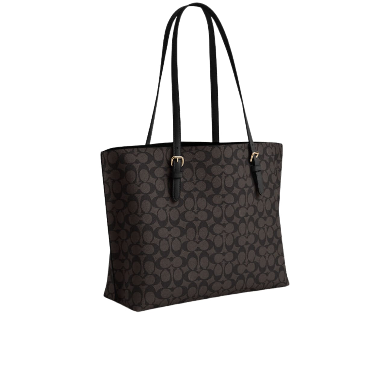 Coach Bag | Mollie Tote Bag Signature Canvas