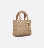 Dior Bag | Small Lady My Abcdior