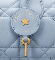 Dior Bag | Groove 20
