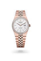 Rolex | Land-Dweller - Free & Fast UAE Shipping