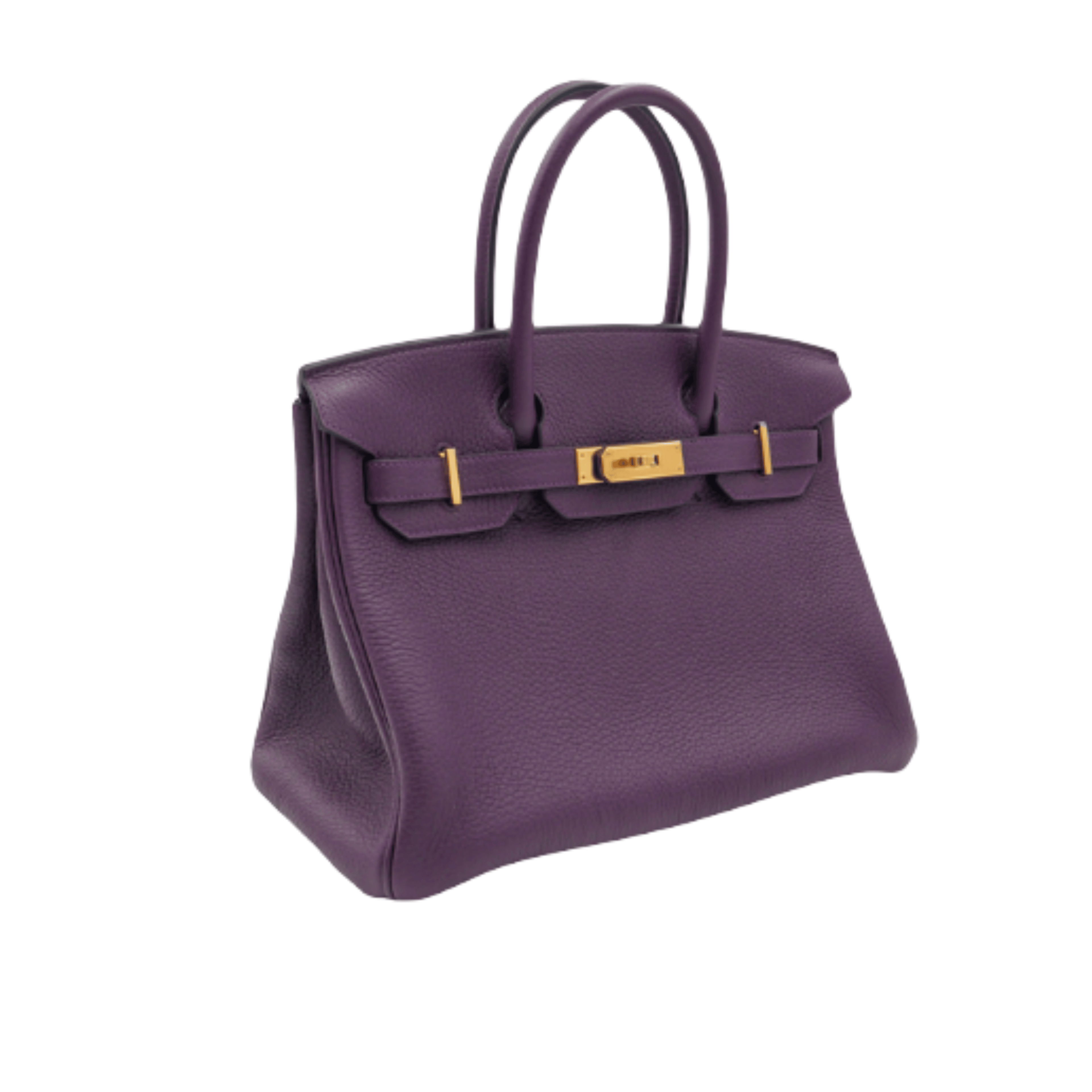 Hermès Bag | Birkin Handbag Purple Cassis