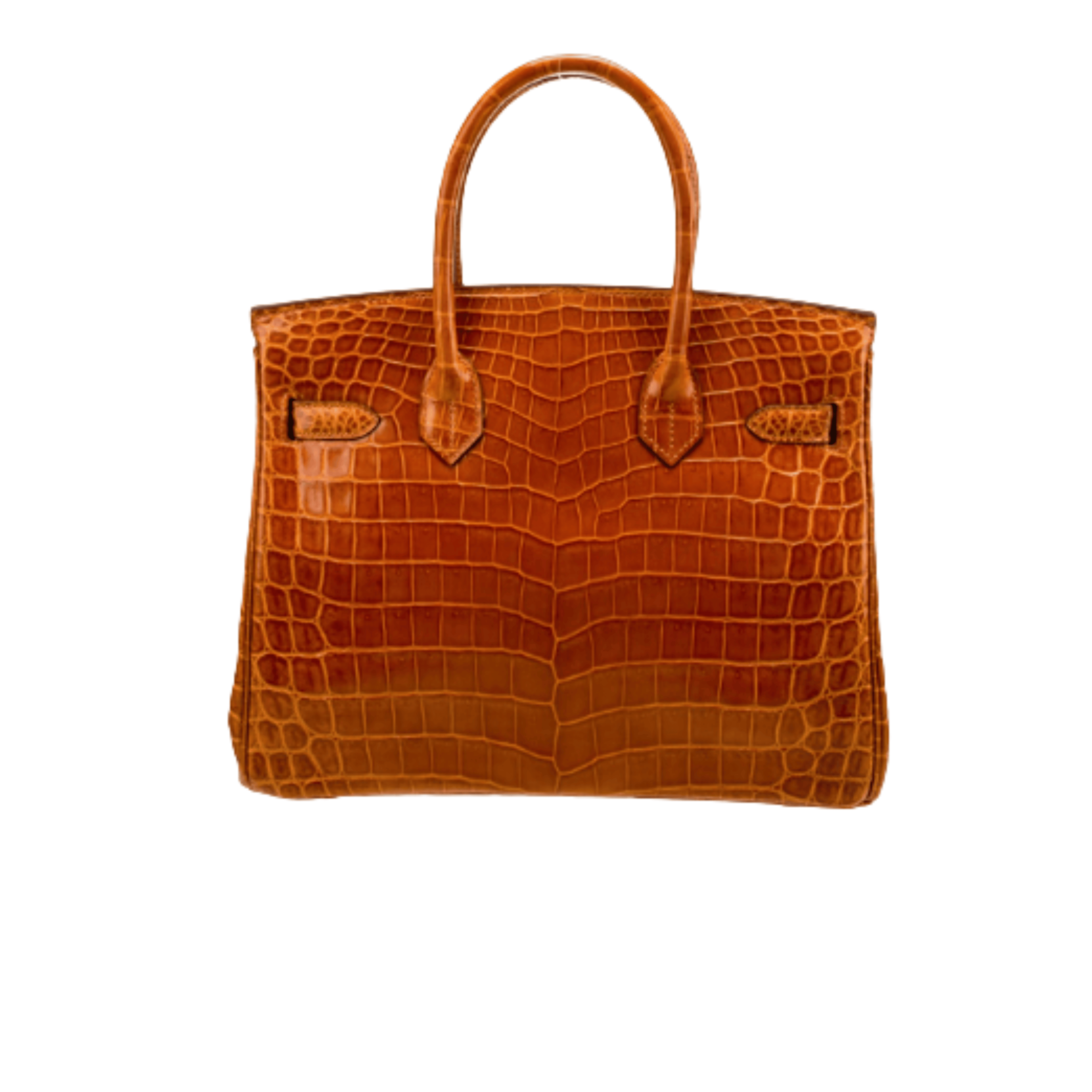 Hermès Bag | Birkin Bag Which Highly Coveted Expensive Luxury Handbag