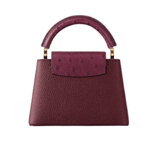 Louis Vuitton Bag | Capucines East-west Mini Bag Crinkled Grenat Red Leather Gold-Toned Hardware