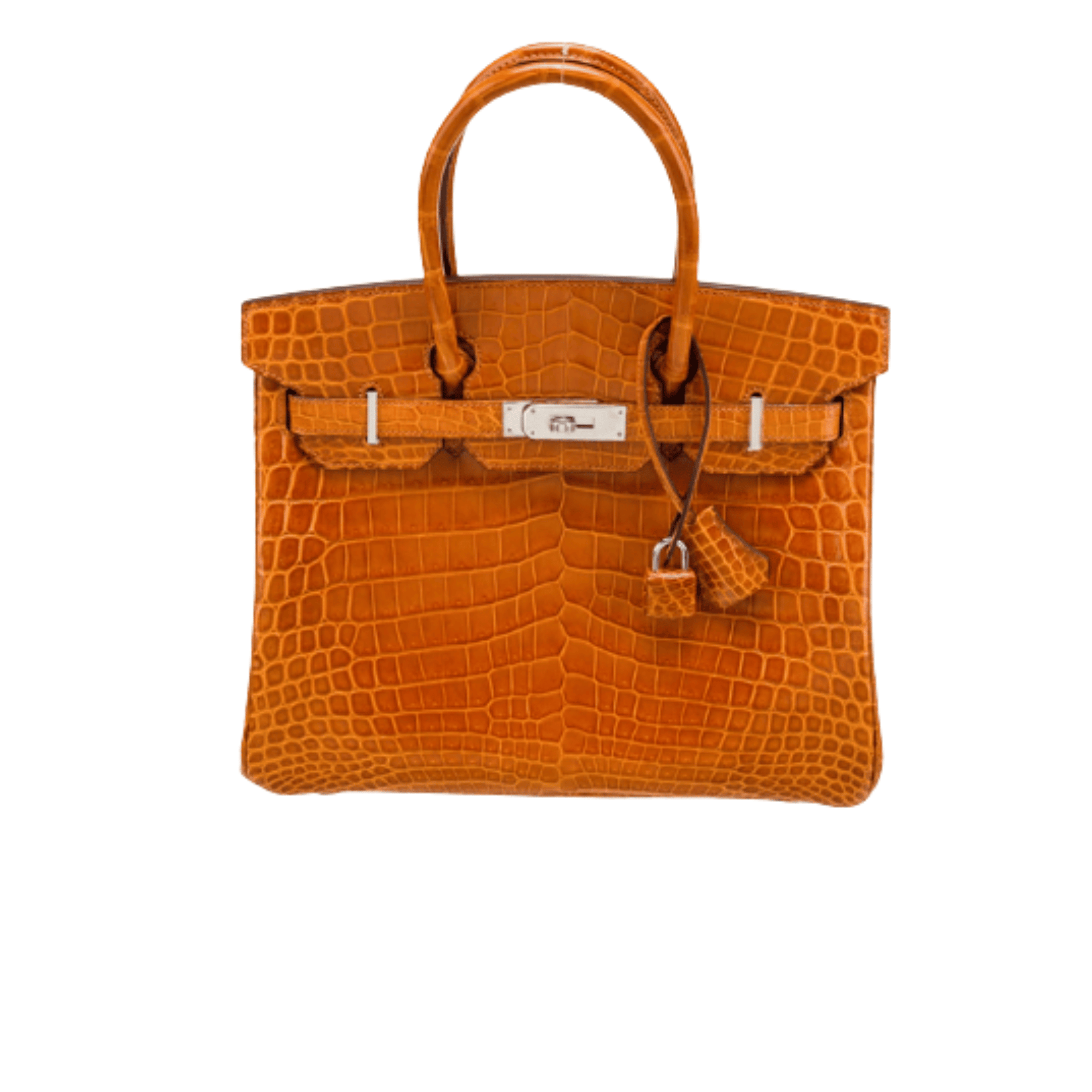 Hermès Bag | Birkin Bag Which Highly Coveted Expensive Luxury Handbag