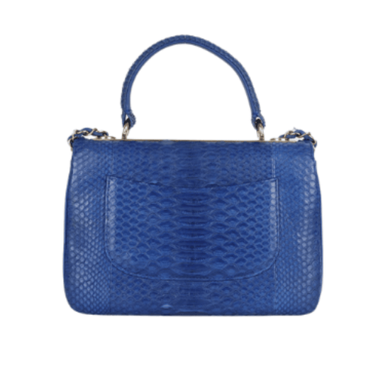 Chanel Bag | Blue Python Small Trendy CC Dual Handle Flap Bag