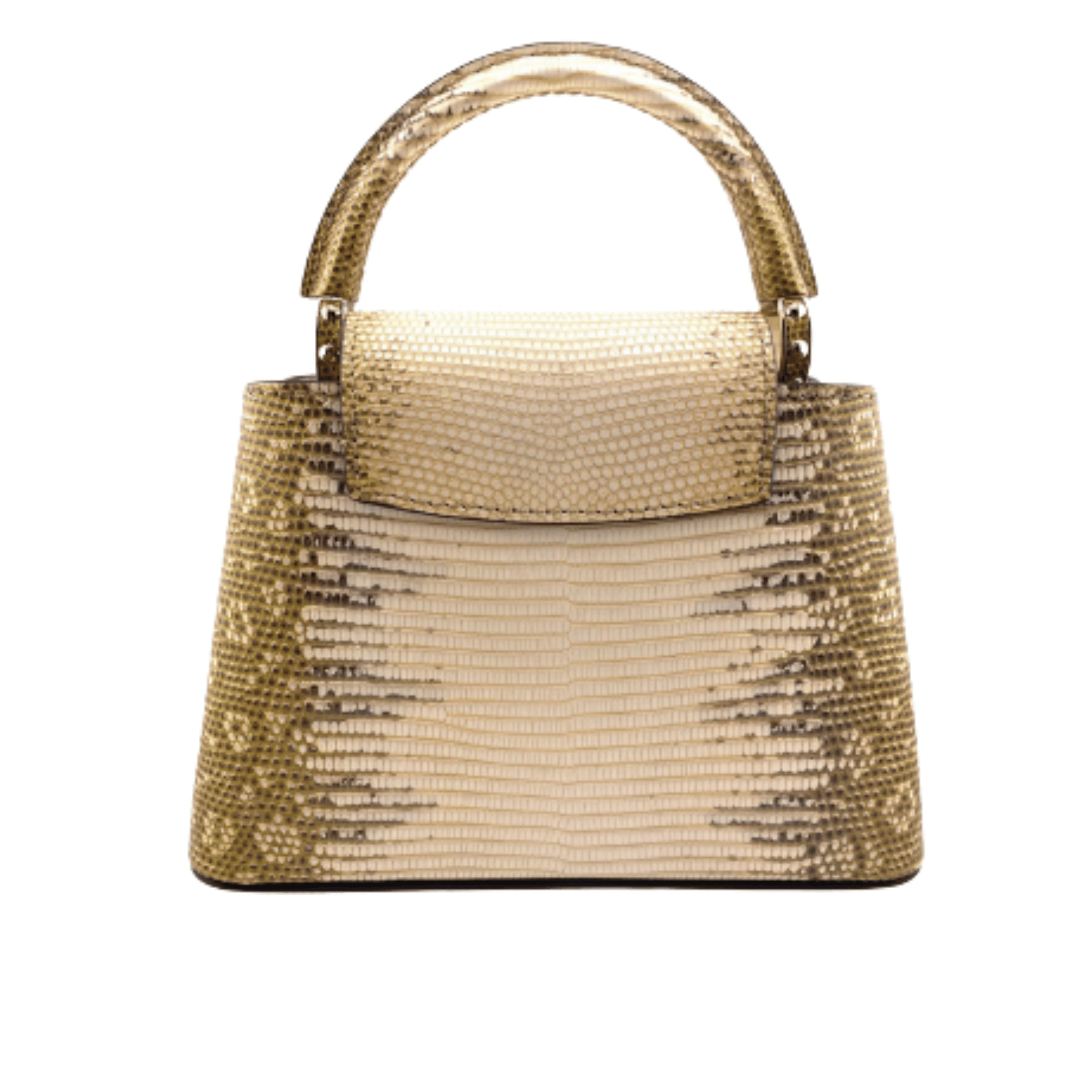 Louis Vuitton Bag | Capucines Gold-Colored Snakeskin