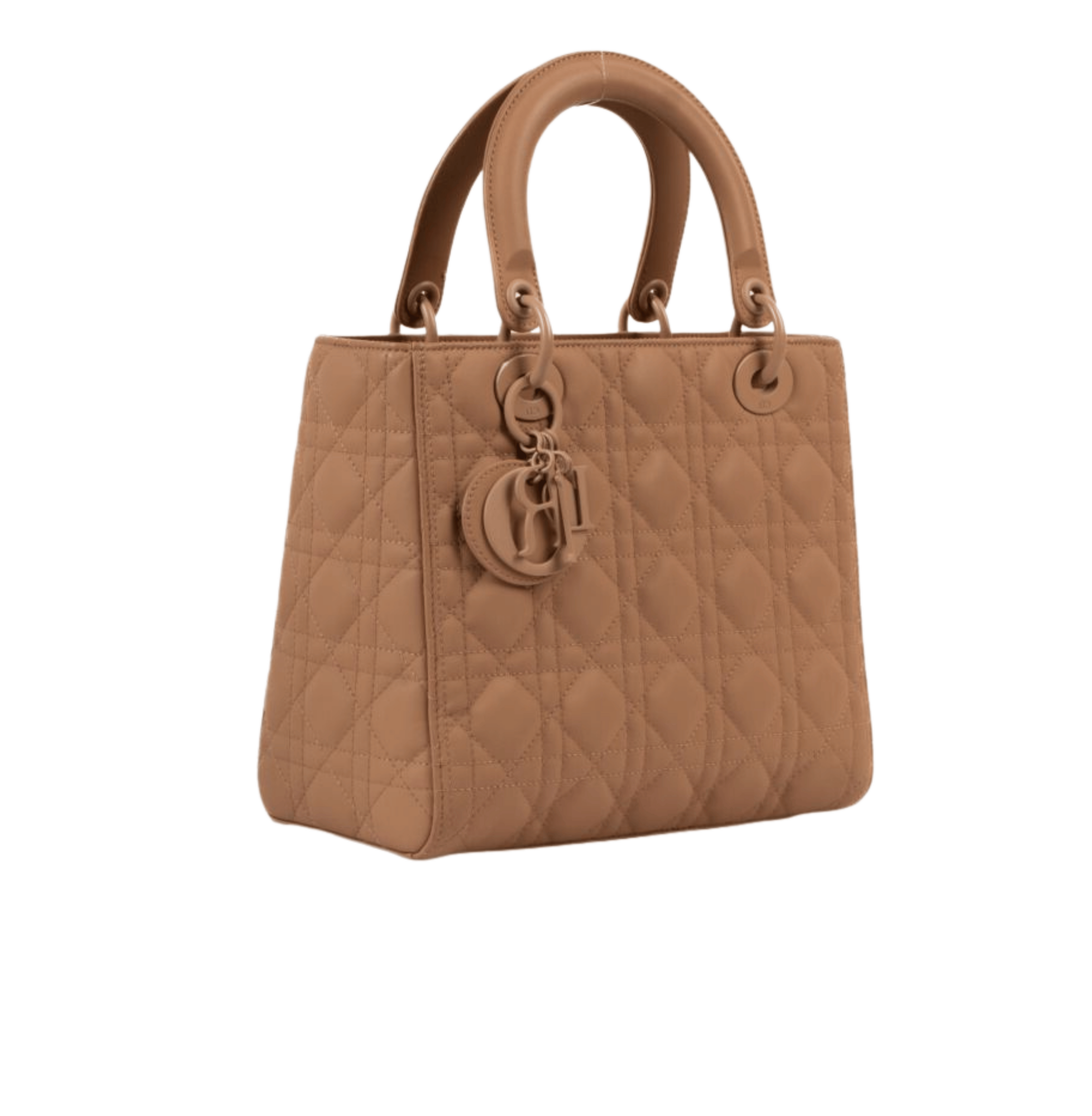 Dior Bag | My ABC In Beige