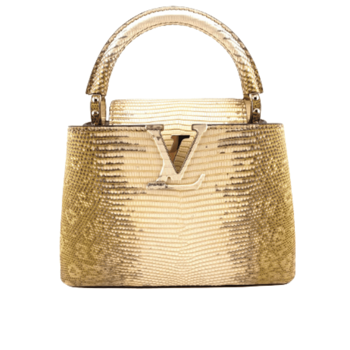 Louis Vuitton Bag | Capucines Gold-Colored Snakeskin