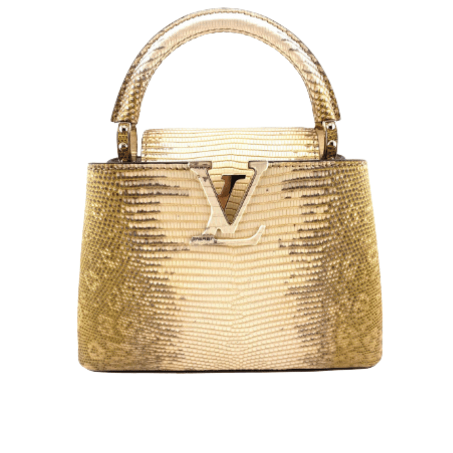 Louis Vuitton Bag | Capucines Gold-Colored Snakeskin